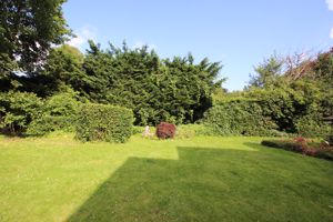 Photo 11- click for photo gallery